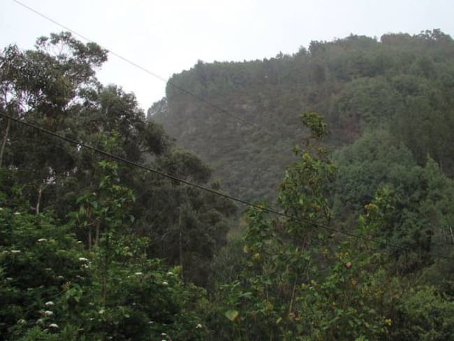Son cuatro los senderos autorizados en los cerros orientales de Bogotá