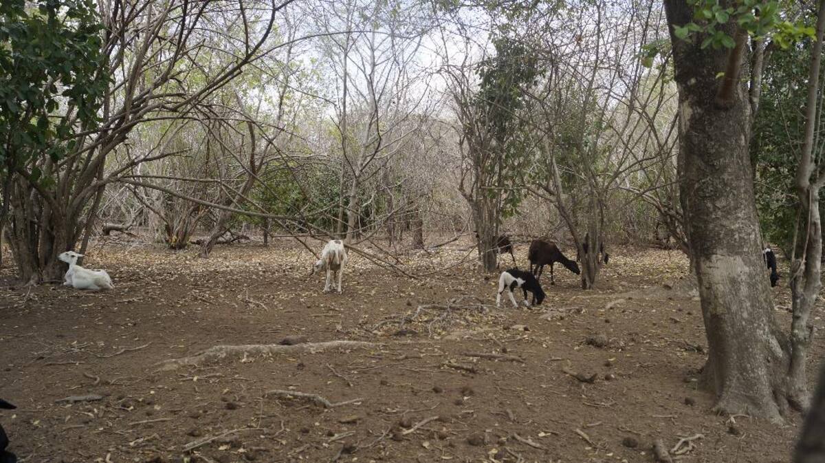 Recorrido de Caracol Radio por las zonas que aguantan sed. Fotos de Luis Enrique Rodríguez