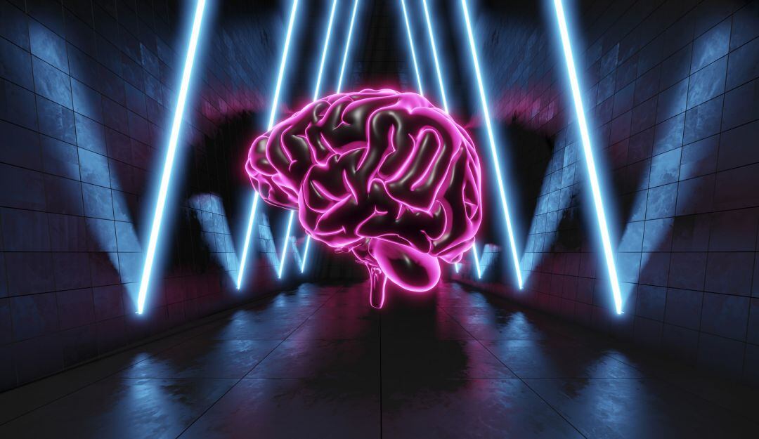 ¿Cuántas horas de sueño son necesarias para que el cerebro funcione mejor?