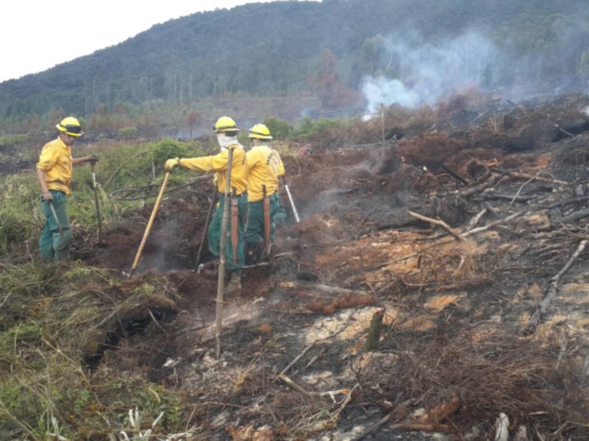Incendios forestales afectan a 94 municipios de Cundinamarca