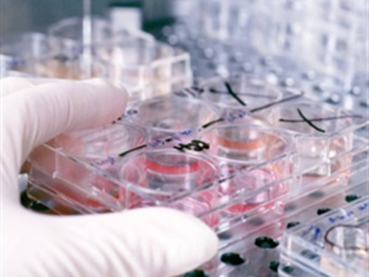 Avances de la ciencia revelados en 2013