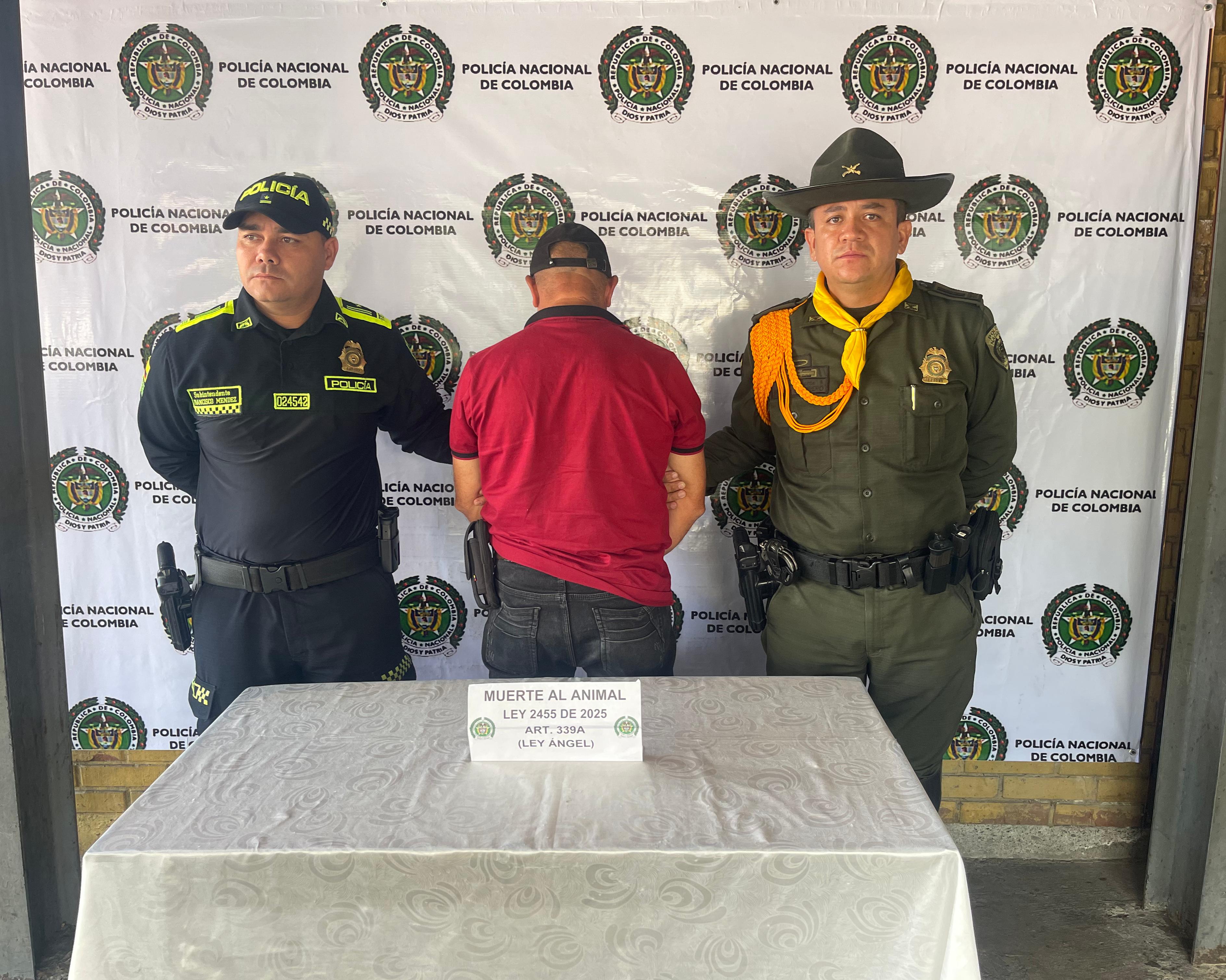 Capturado por maltrato animal en Quindío. Foto: Cortesía Policía Quindío