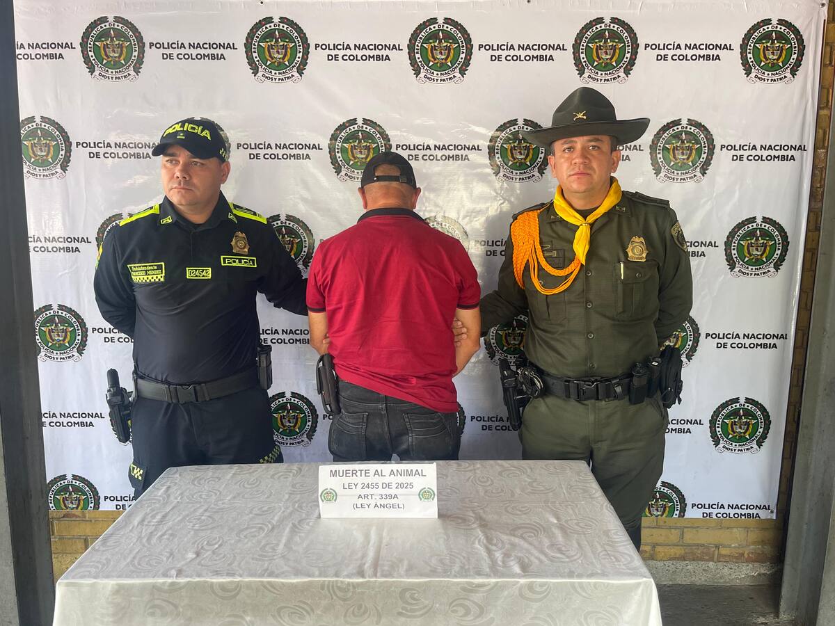 No hay derecho, en Buenavista Quindío perro fue asesinado con arma de fuego, hay un capturado