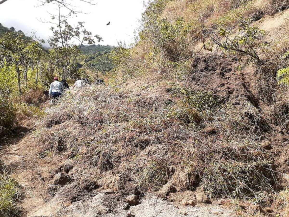 Cinco municipios afectados por lluvias en el Huila