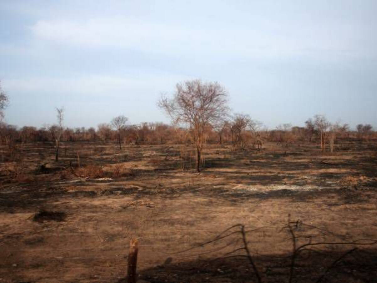 Muere menor por desnutrición dice Alcalde de Concordia, Magdalena