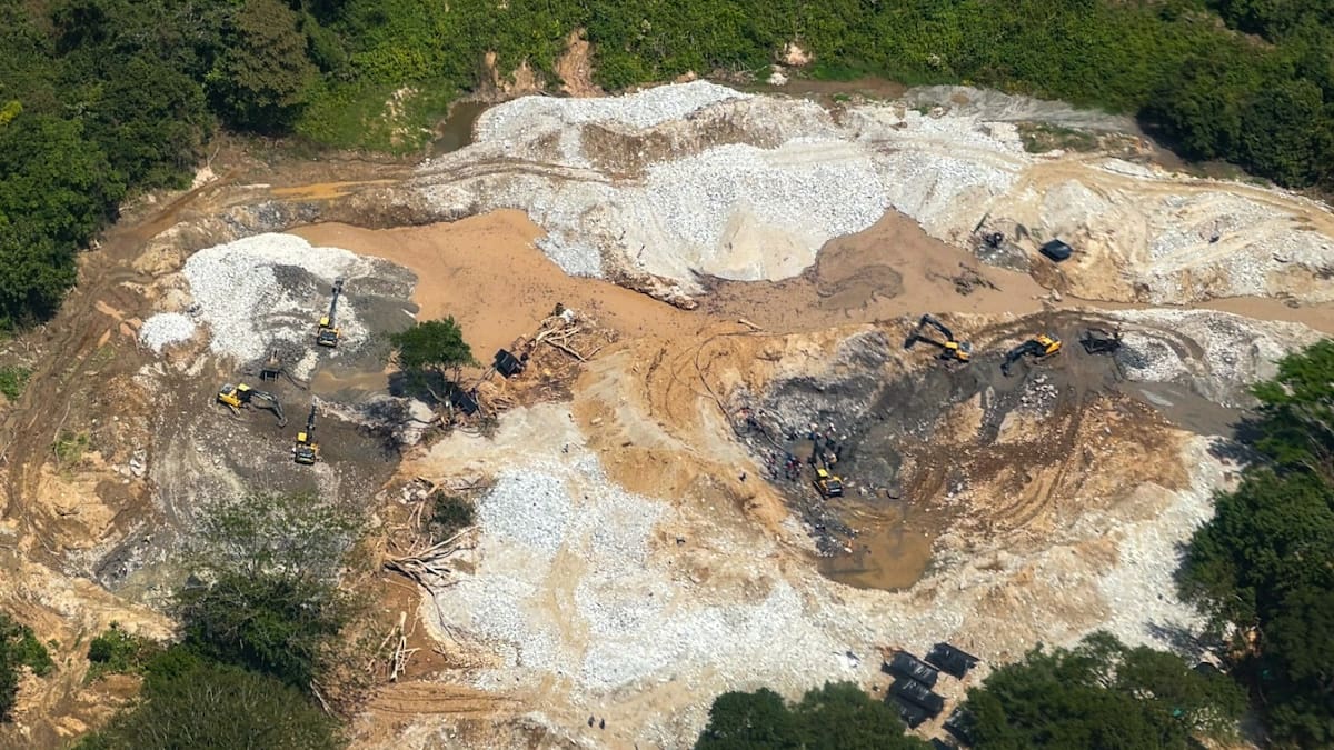 La minería ilegal de oro ha devastado más de 200 hectáreas de bosque en el sur del Tolima