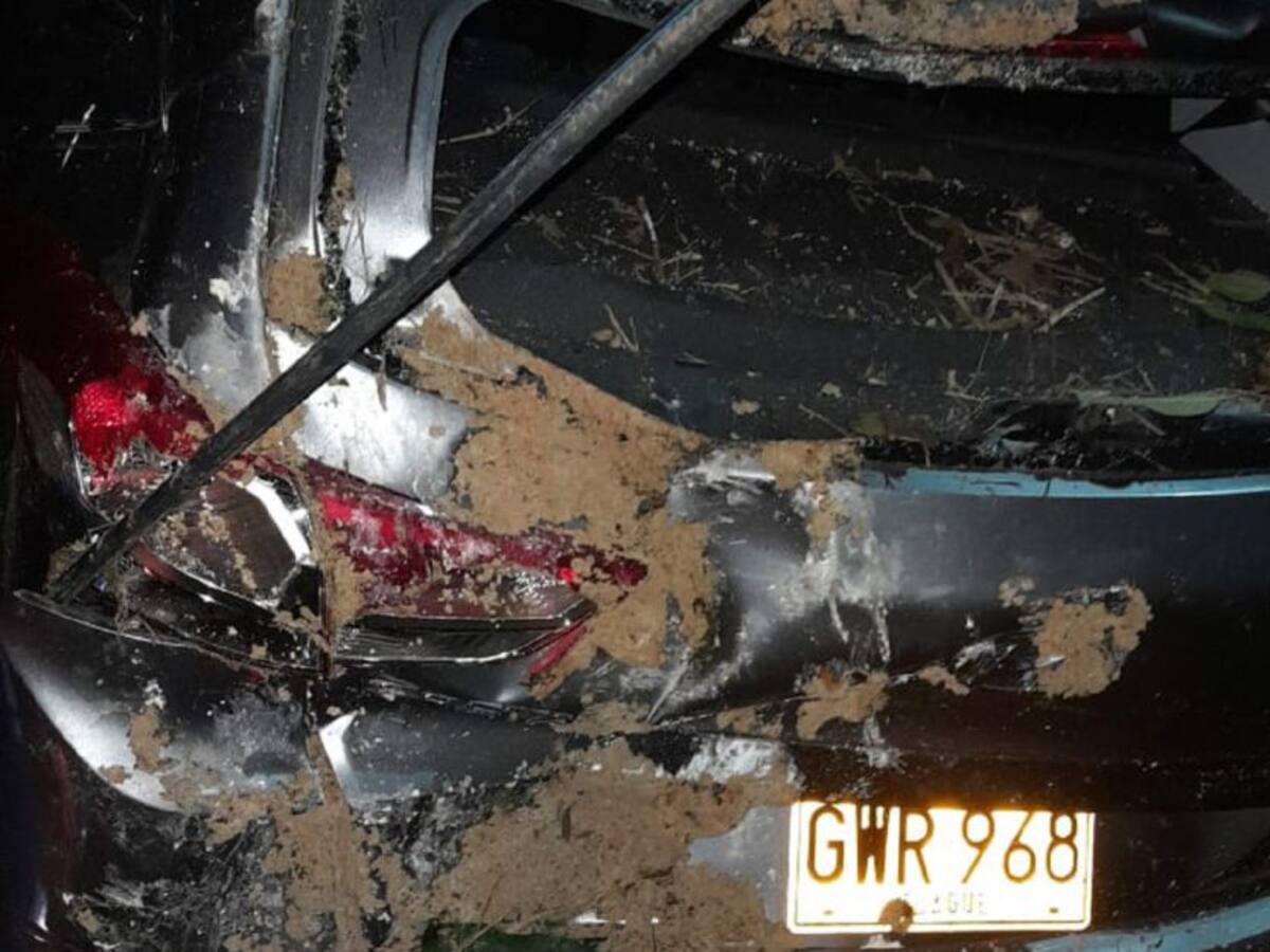 Vehículo rodó por un abismo en Líbano, Tolima