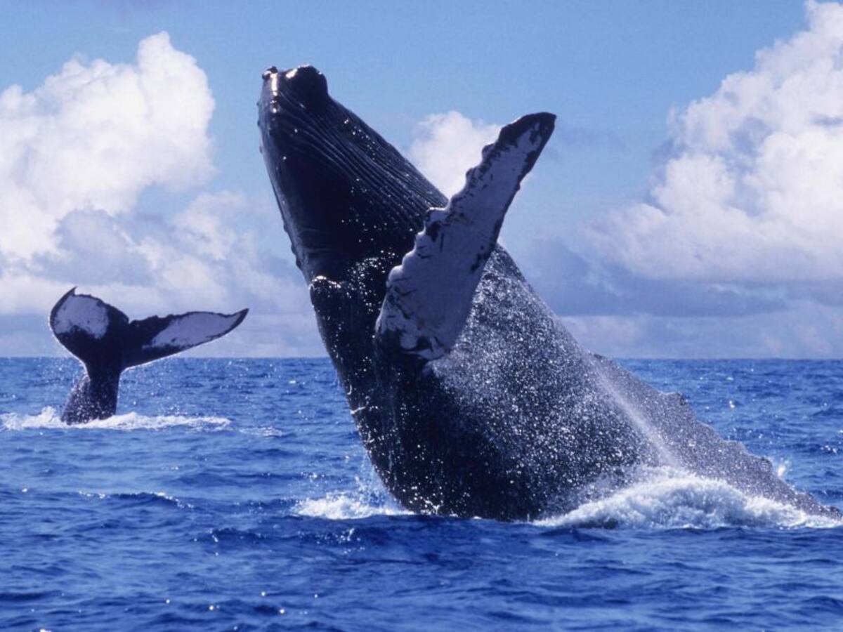 Fortalecer turismo hacia el Pacífico, meta del 2021