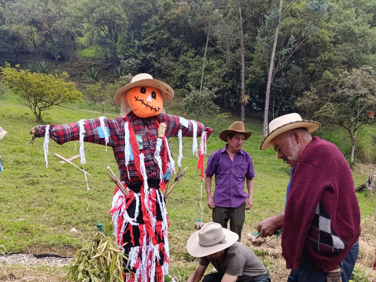 Macanal se llena de color, cultura y tradición