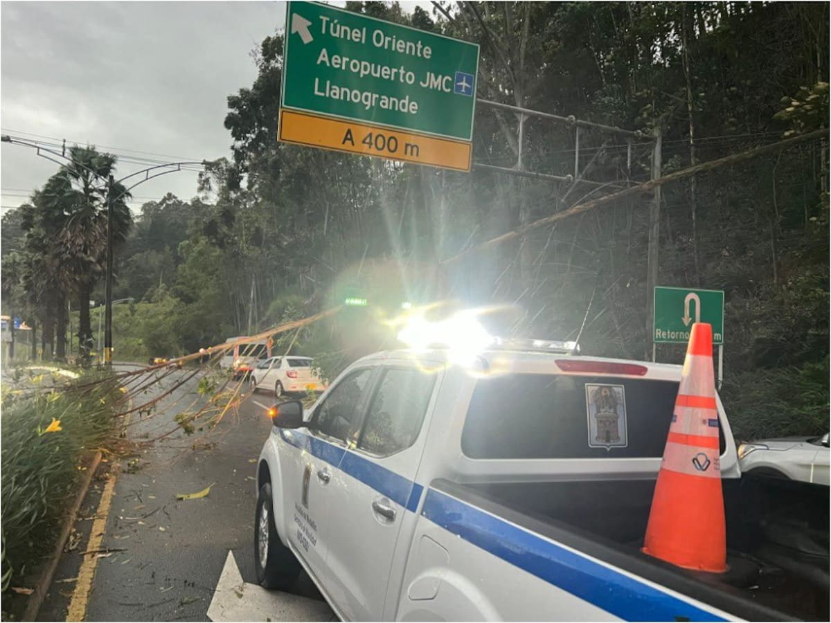 Lluvias en Medellín causan caída de árboles y suspensión temporal en el Metrocable