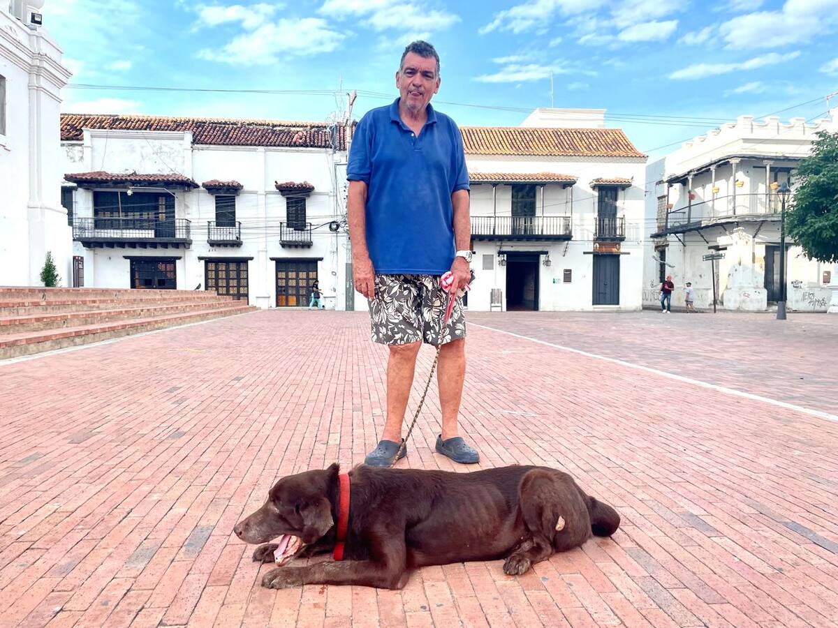Un labrador color chocolate es la mascota más vieja y famosa del Centro de Santa Marta