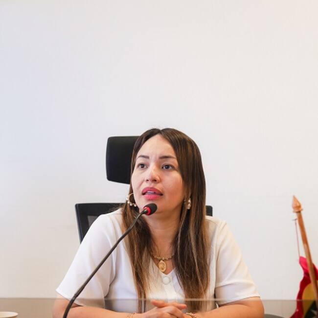 Concejo de Cartagena
