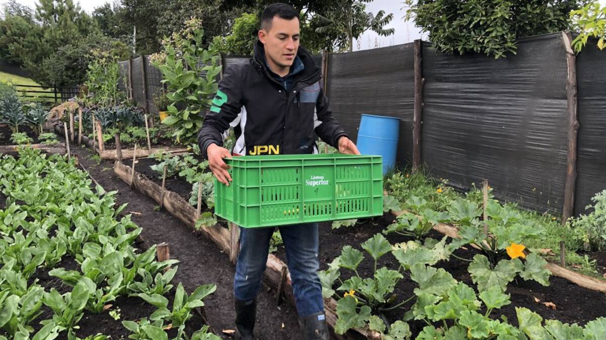 Un mercado campesino enmarca Feria Empresarial y Turística ExpoGachancipá
