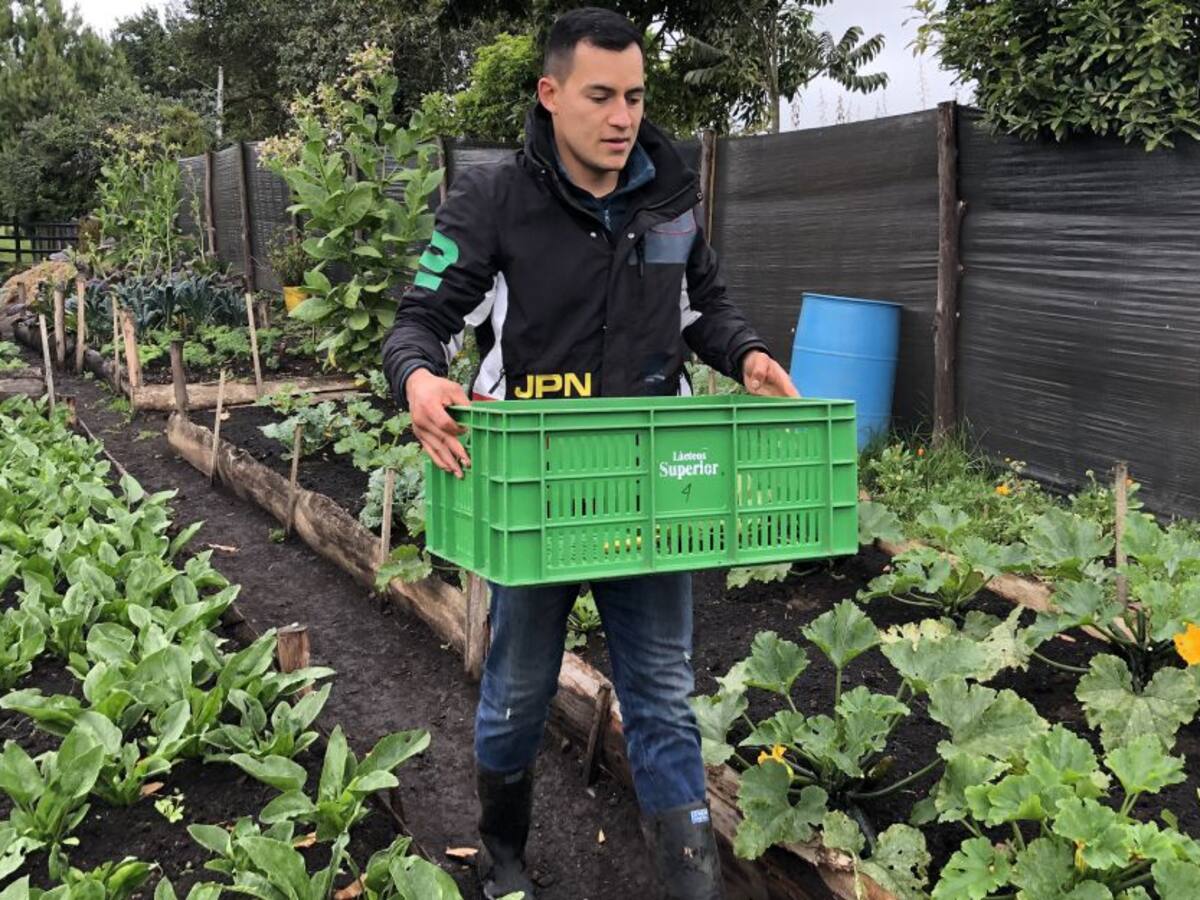 Un mercado campesino enmarca Feria Empresarial y Turística ExpoGachancipá