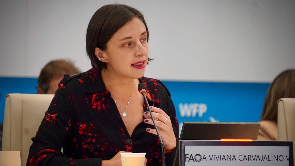 Colombia será sede de la II Conferencia Internacional de Reforma Agraria: MinAgricultura