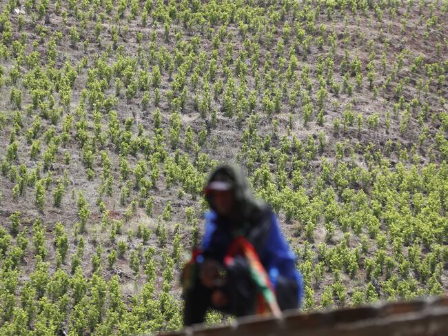 EFE/ Ernesto Guzmán