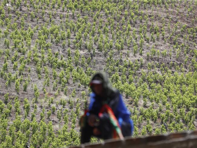 EFE/ Ernesto Guzmán