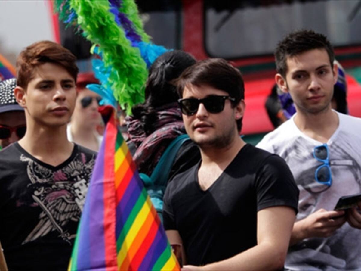 Comienza audiencia pública sobre matrimonio gay