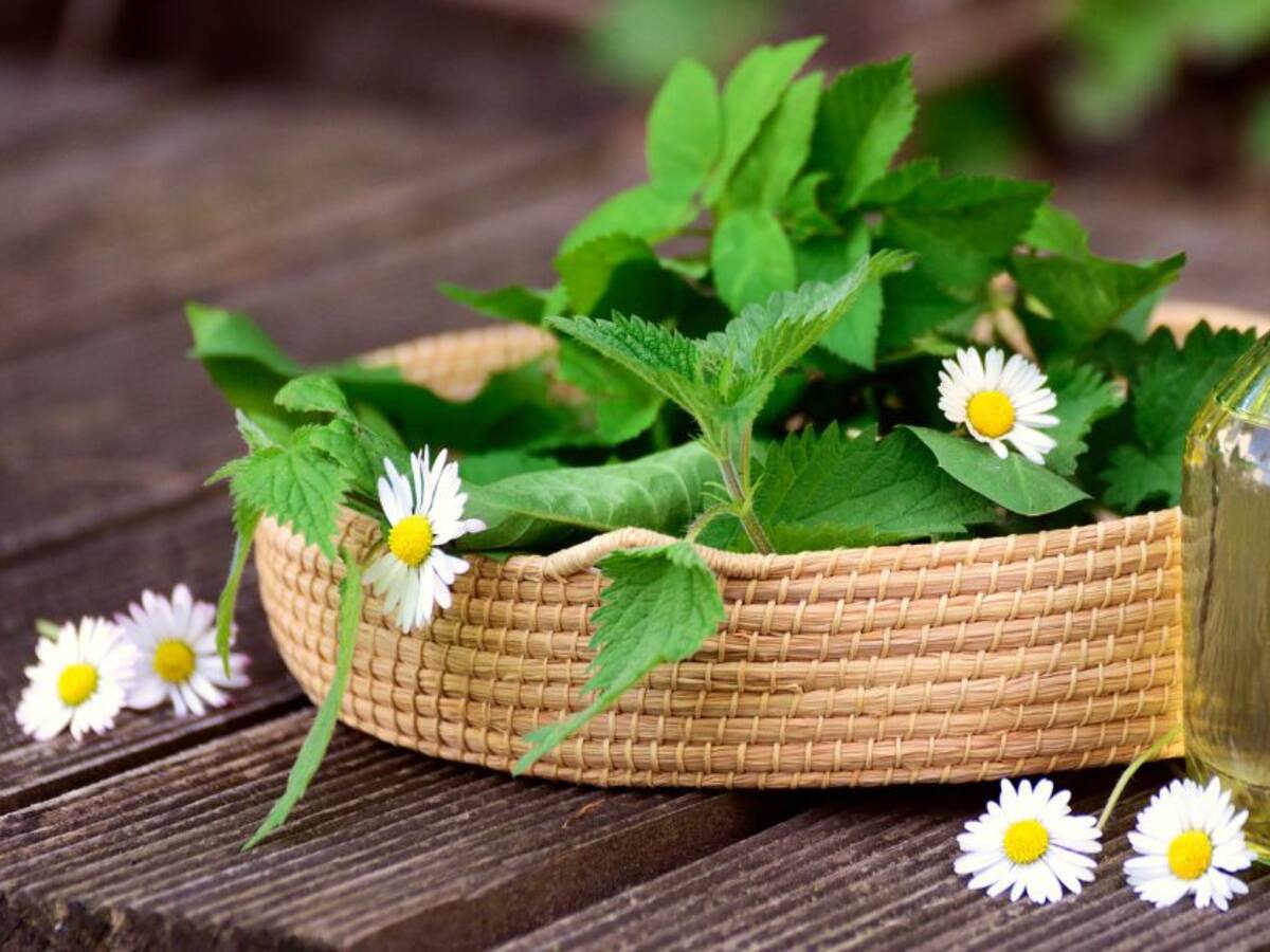 ¿Cómo hacer de tu cocina una farmacia?