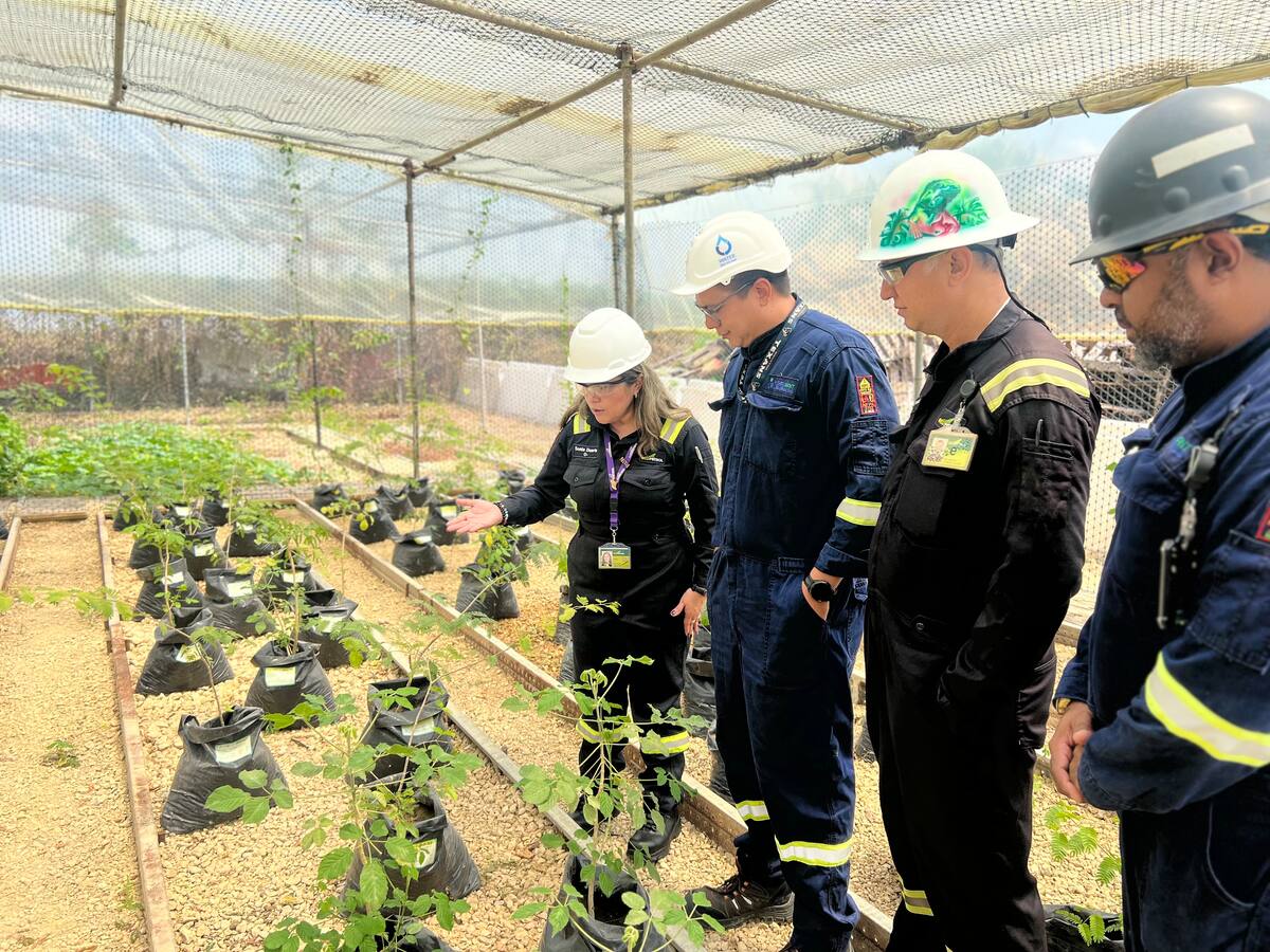 Refinería de Cartagena busca usar el coque para mejorar suelos de bosques forestales
