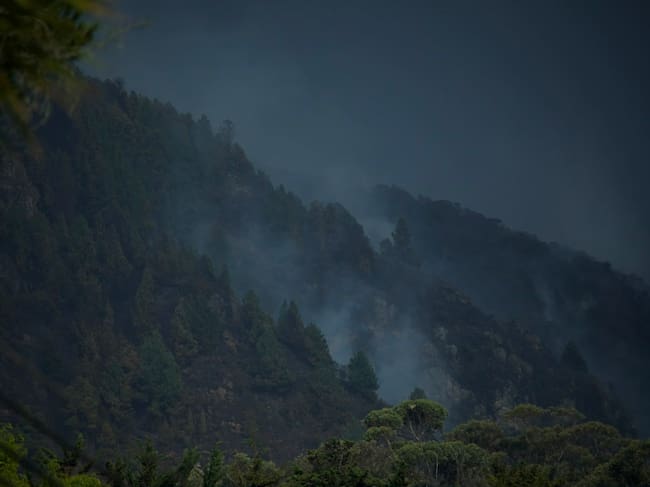 Municipios como Soacha, Ráquira, Nilo, Guachetá, San Juan de Rioseco, Ricaurte y Tocaima presentan la mayor recurrencia de incendios forestales