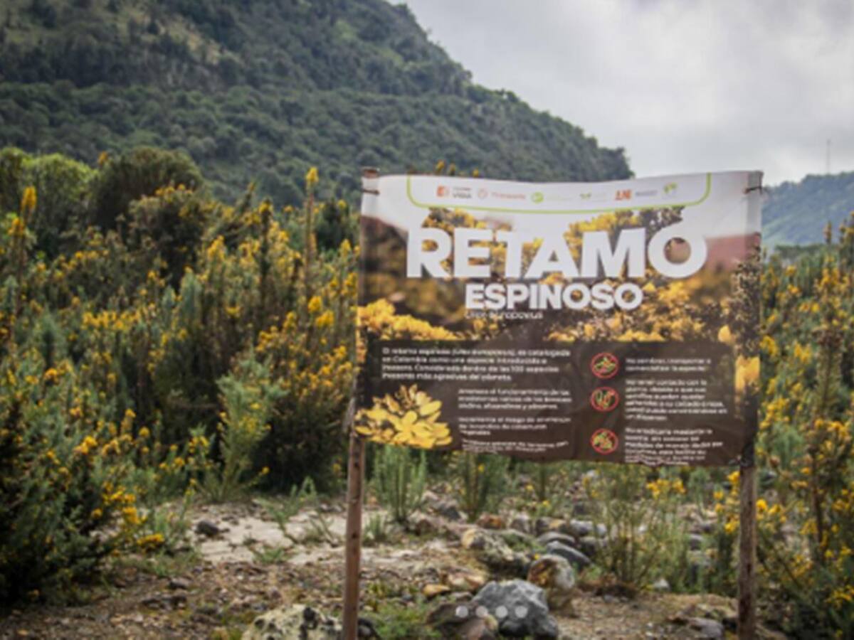 Invertirán más de $16 mil millones en la protección del Parque Natural de los Nevados