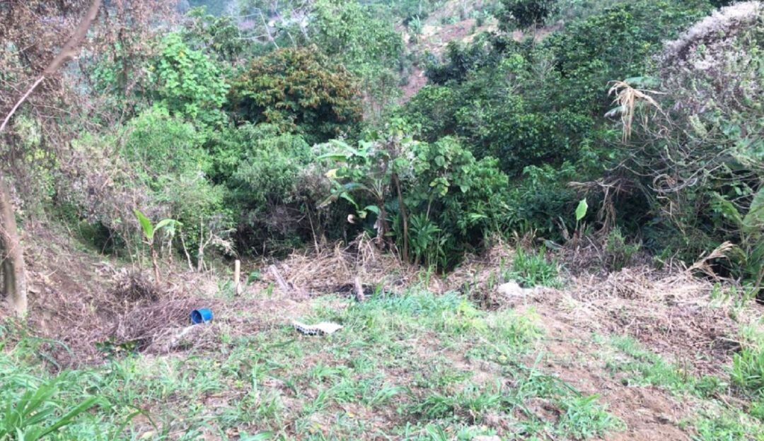 El hecho ocurrió en un cafetal en la vereda Cuchilla del Salado de Manizales.