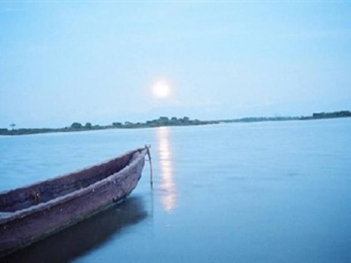 Estudio de riqueza vegetal en la Ciénaga de Zapatosa