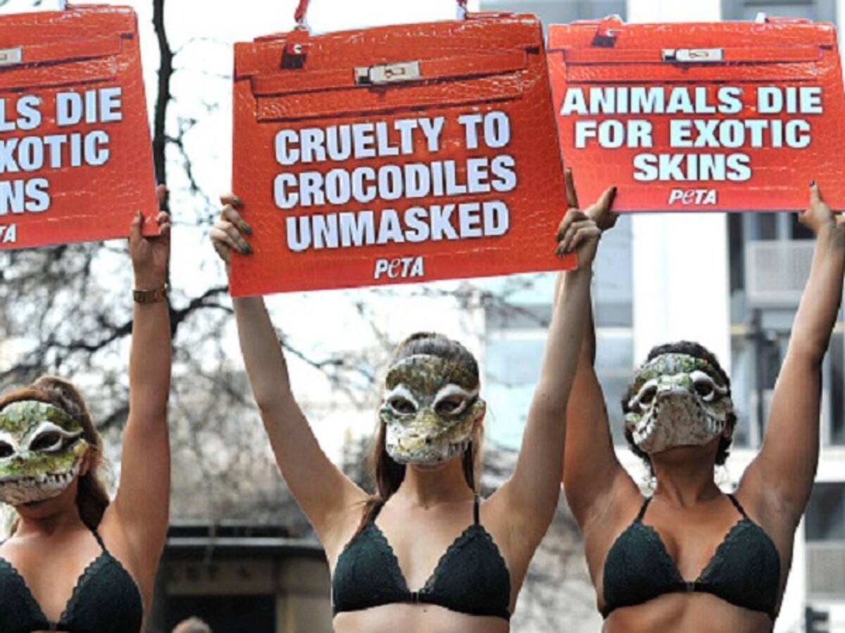 London Fashion Week estará libre de pieles de animales