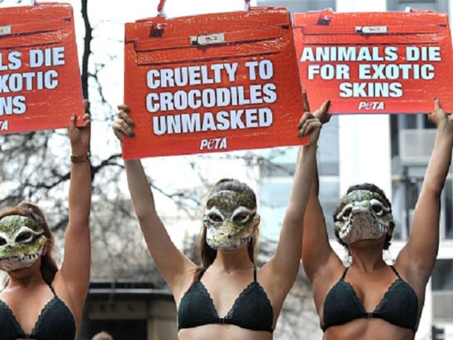 London Fashion Week estará libre de pieles de animales