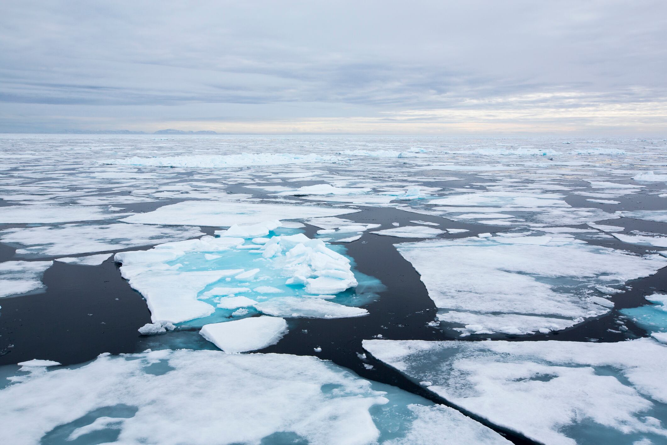 Hielo marino en Svalbard (Foto vía Getty Images)