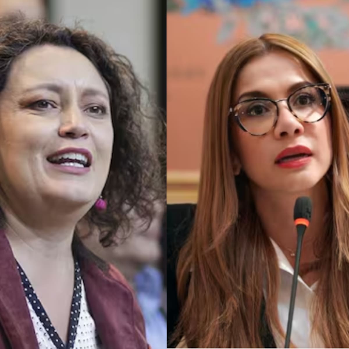 Alianza Verde aprobó la salida de Catherine Juvinao y Angélica Lozano con 41 votos a favor