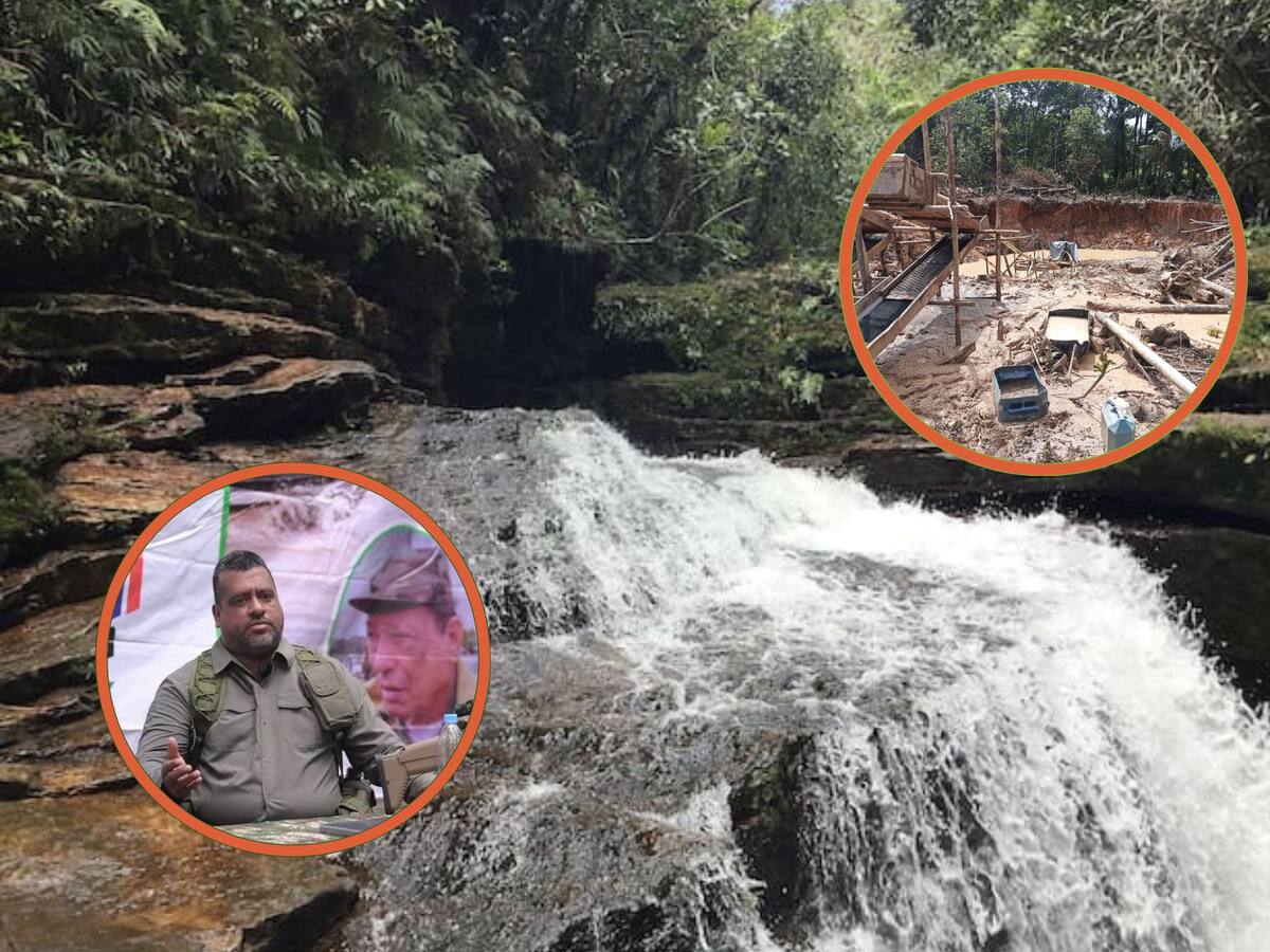 ‘Segunda Marquetalia’ destruyó 135 hectáreas de selva para montar mina de oro