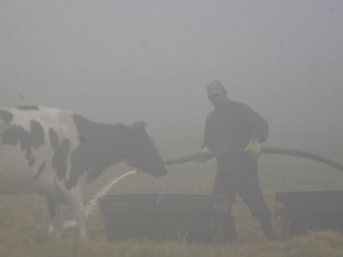 Heladas vuelven a afectar los campesinos cercanos a Santurbán