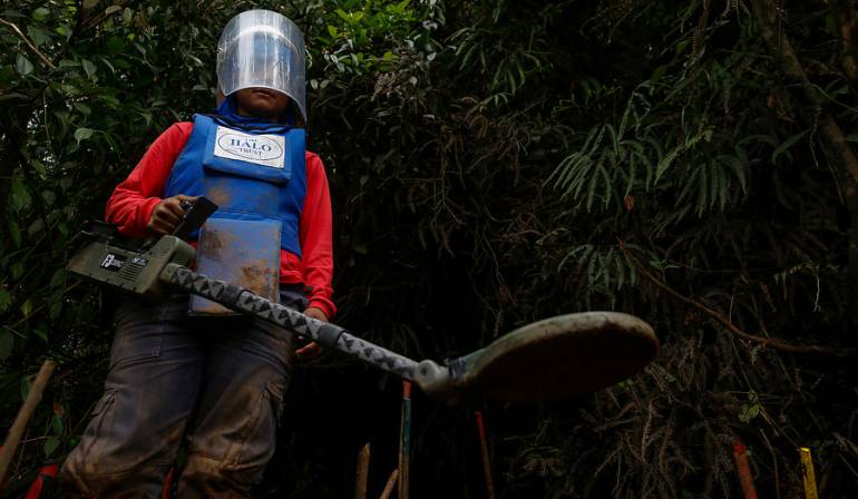 Desminado humanitario