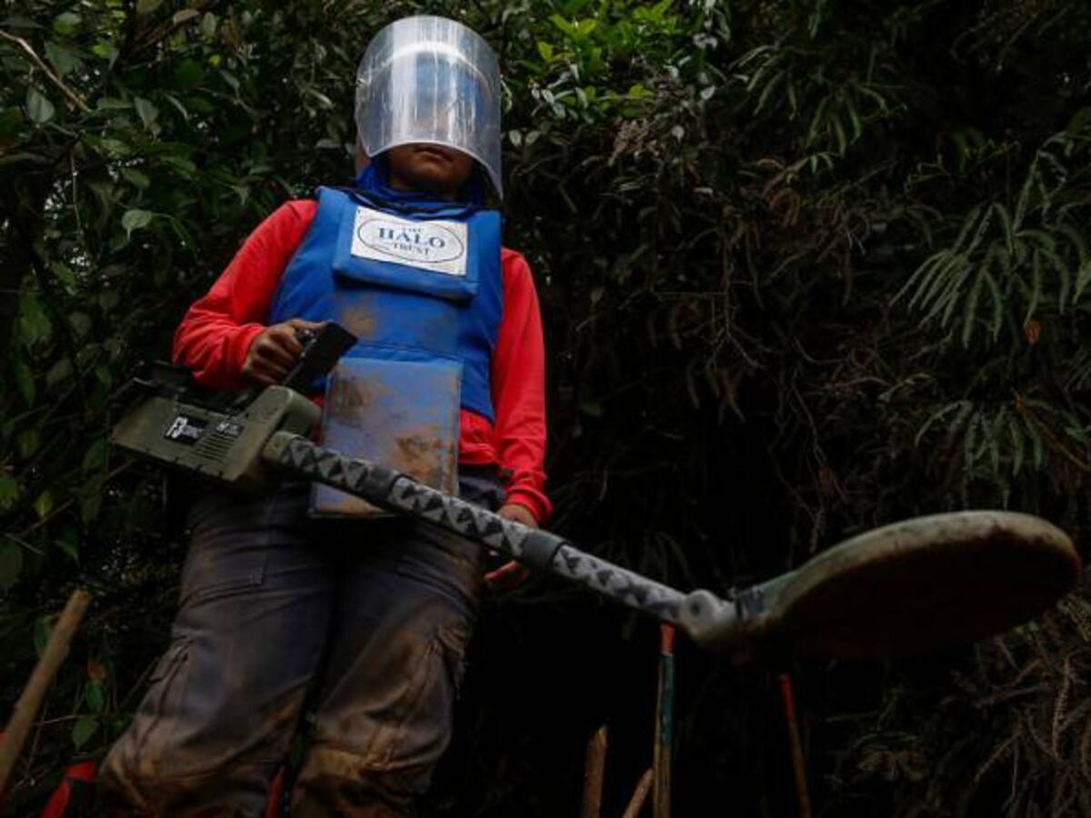 86 municipios declarados libres de minas antipersona entre 2017 y 2018