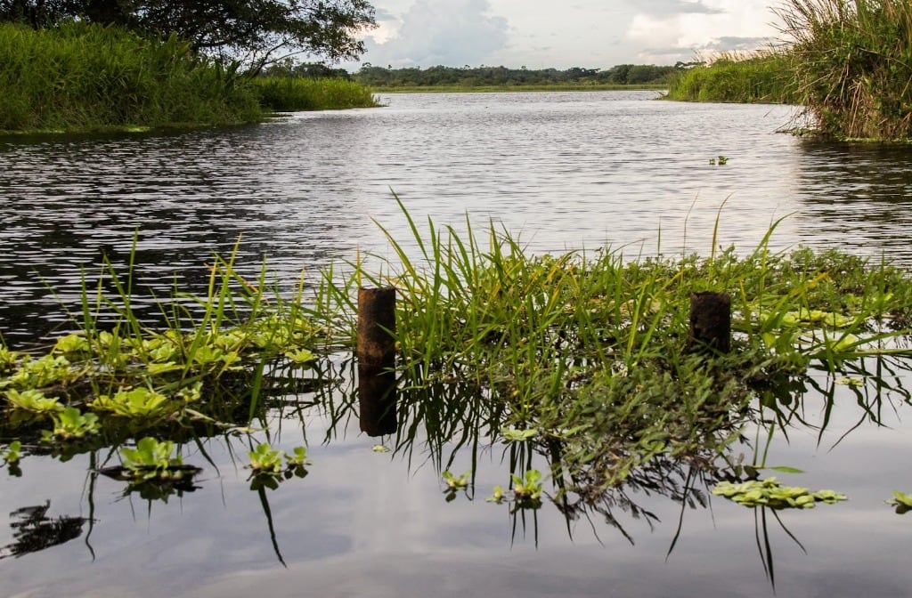 Afectaciones ambientales a Ciénaga de Palagua