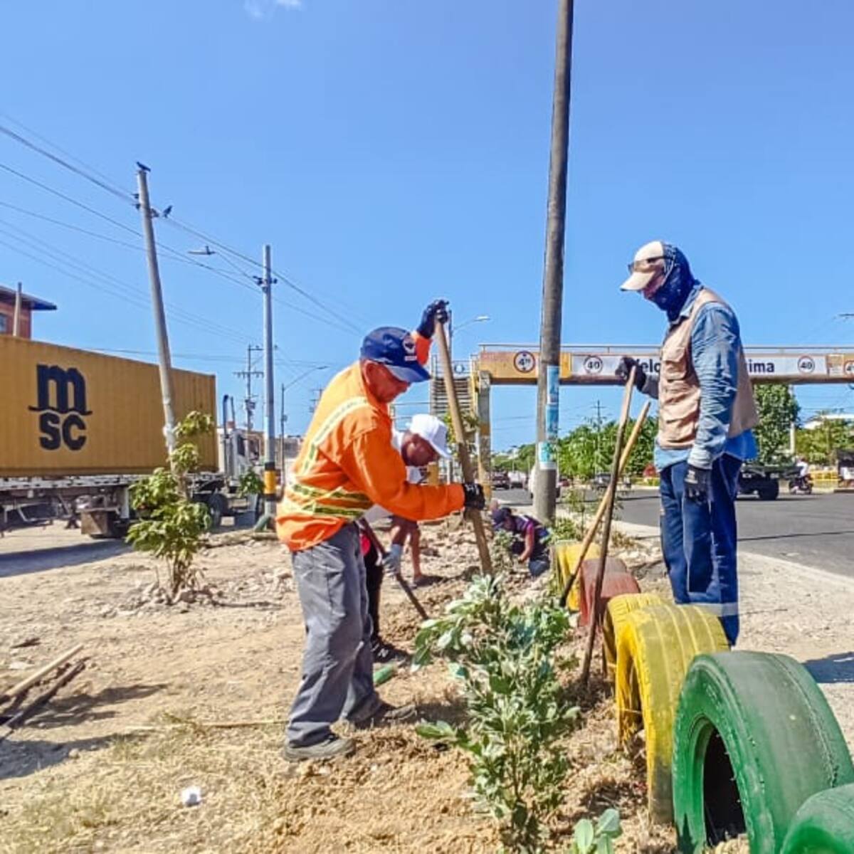 EPA Cartagena y empresas recuperaron zonas donde operaban basureros satélites en Ceballos