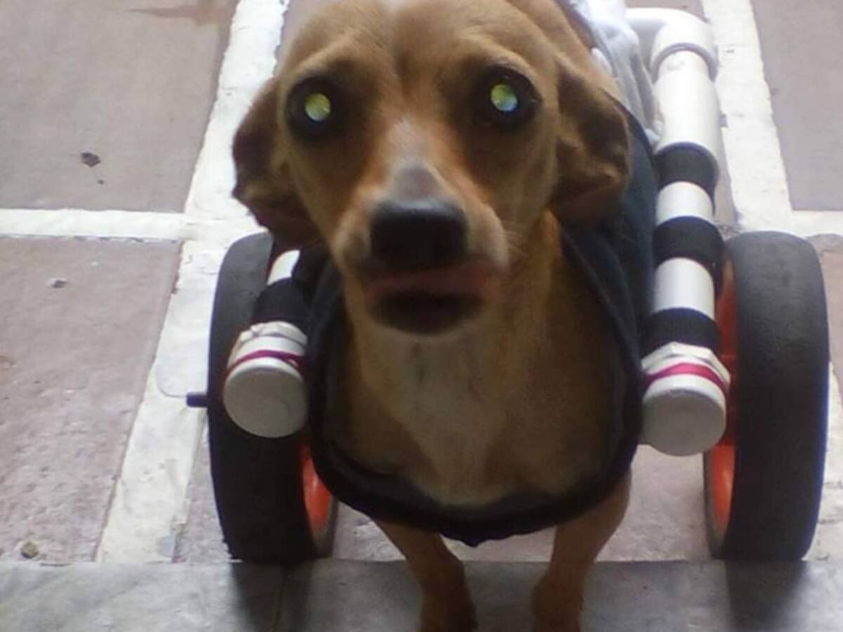 Ricky, una esperanza que vive entre días de cuarentena