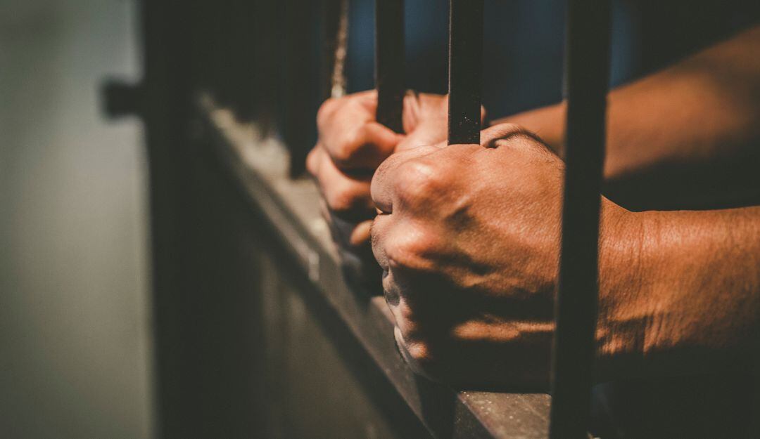 Imagen de referencia 