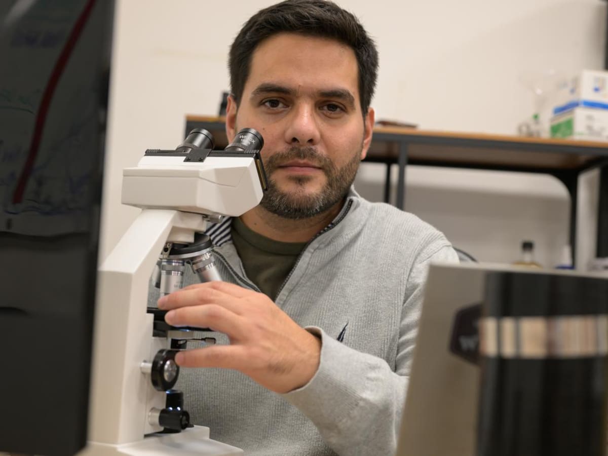 Maestro cervecero: el oficio que se volvió motor del boom artesanal en Latinoamérica