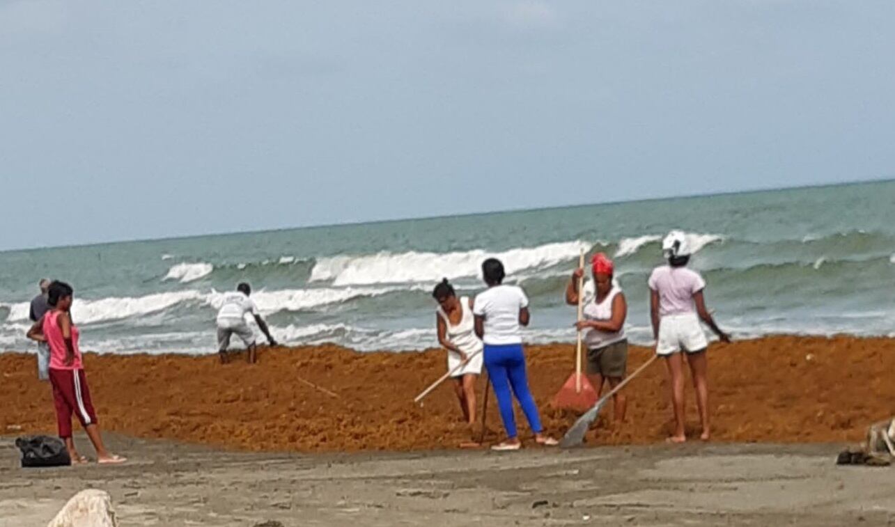 Las alteraciones recientes en el oleaje y la línea costera han llamado la atención en las playas de Moñitos, Córdoba.