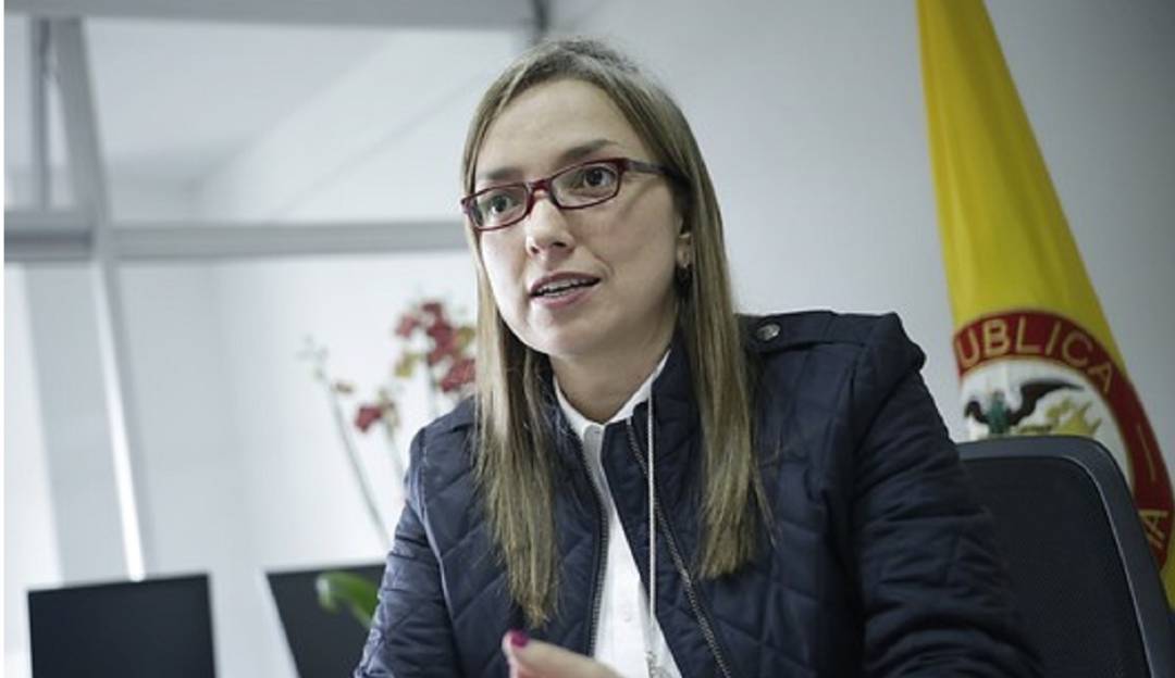 Viceministra de Transporte explica