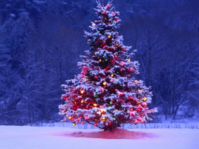 Los buenos momentos de la Navidad