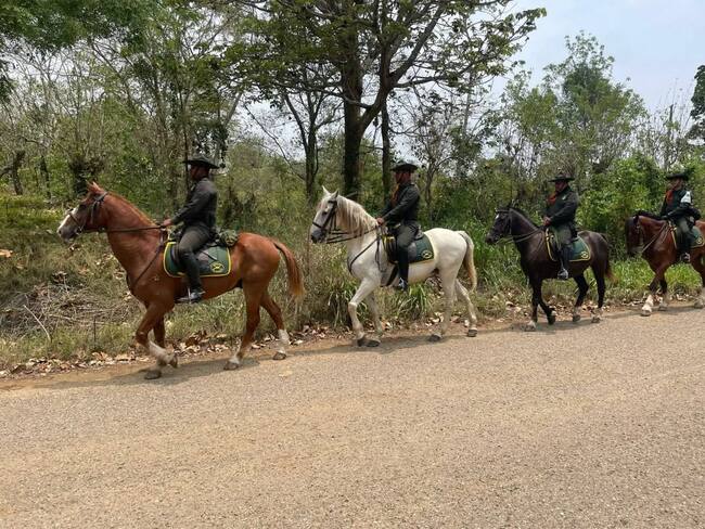 Con visitas a fincas grupo de Carabineros fortalece acciones contra el abigeato en Bolívar
