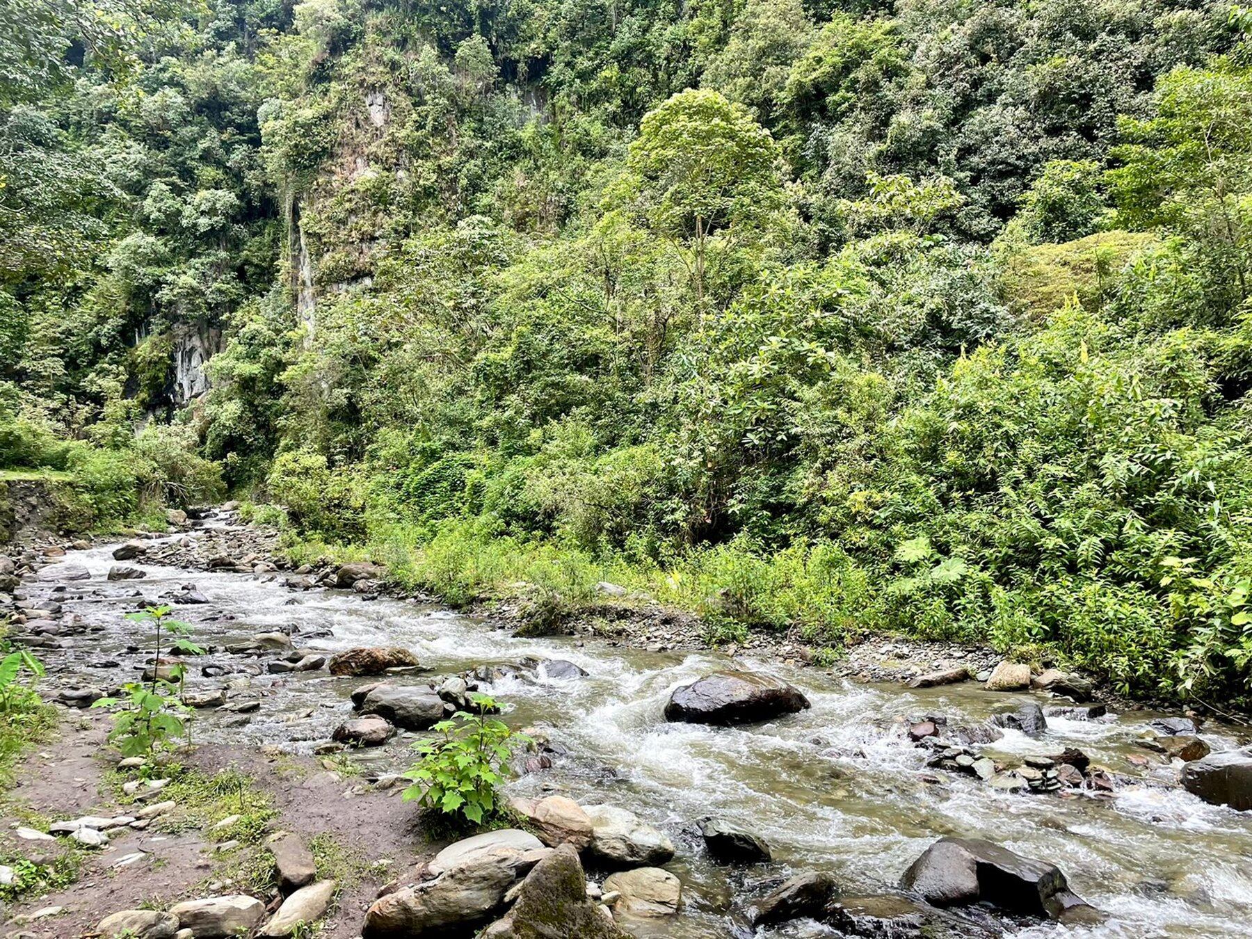 Conservación Medio Ambiente Ibagué