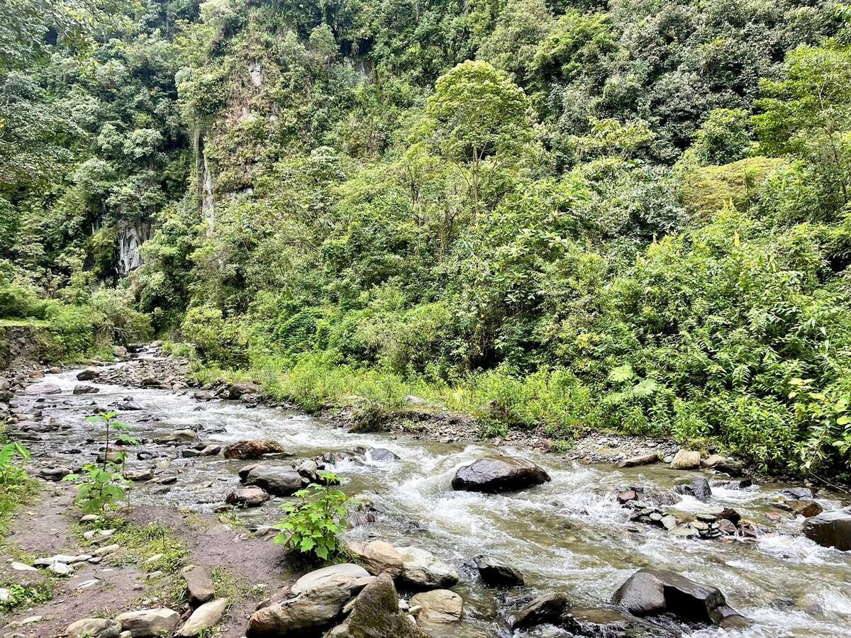 En Ibagué aprobaron esquema para el pago de servicios ambientales