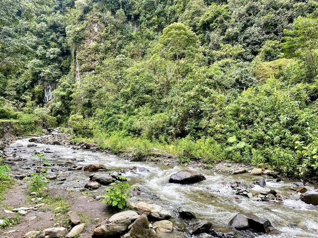 Conservación Medio Ambiente Ibagué