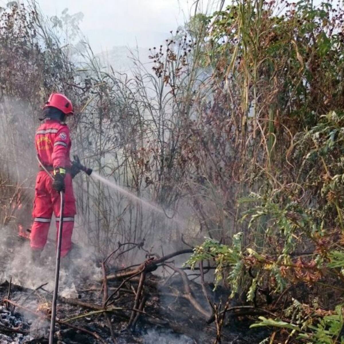 Risaralda se encuentra en alerta roja por el incremento de incendios