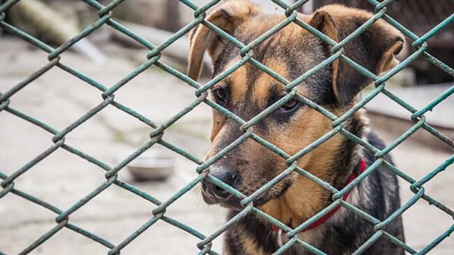 Imagen de referencia . Foto: Getty Images